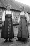 Фотография с сайта kmn-lo.ru